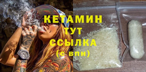 шишки Мегион
