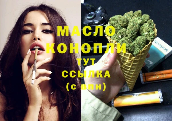 индика Наволоки