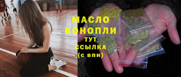индика Наволоки