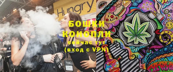 индика Наволоки