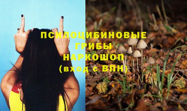 метадон Медногорск
