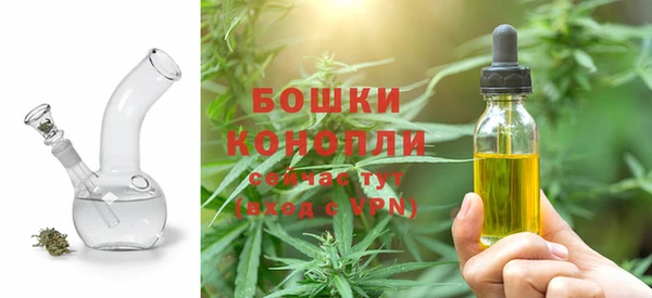 PSILOCYBIN Надым