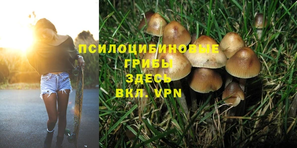 метадон Медногорск