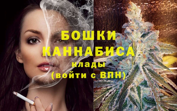 тгк Медвежьегорск