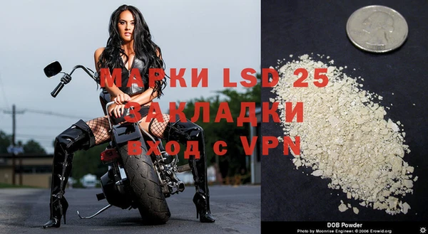 индика Наволоки