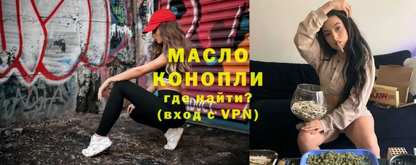 индика Наволоки