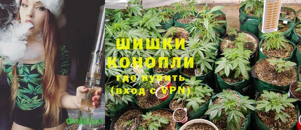 индика Наволоки
