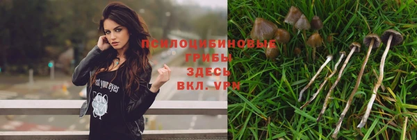 ешки Анжеро-Судженск