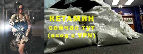 шишки Мегион