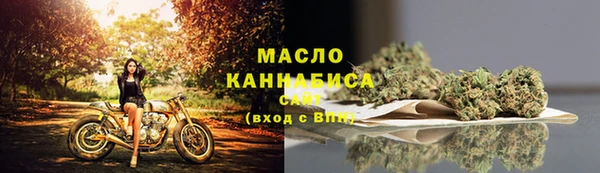 индика Наволоки
