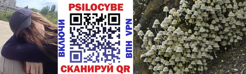 Галлюциногенные грибы MAGIC MUSHROOMS  как найти   omg ТОР  Иноземцево 
